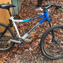 Mountain Bike
