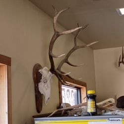 SPEICIAL!!!Seasoned oak FIREWOOD!!!