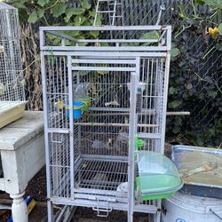 Big Bird Cage 