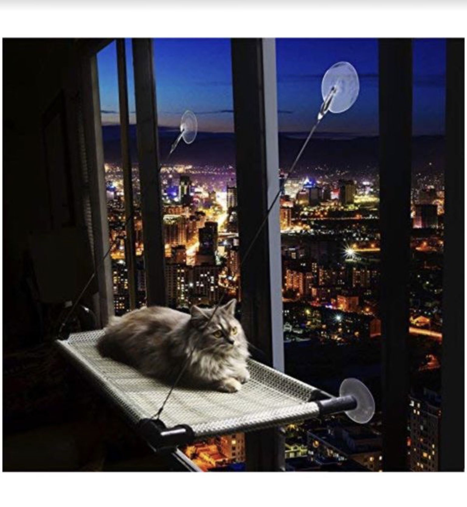Cat Window Perch / Cat Window Bed_r