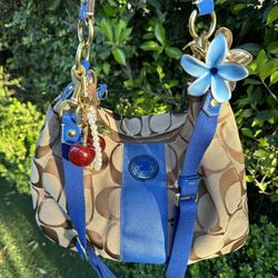 Coach Signature Stripe Convertible Hobo Bag Khaki Brown Blue Leather F1924