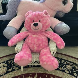 Big Pink Teddy Bear
