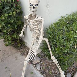 Two Posable 5’ skeletons