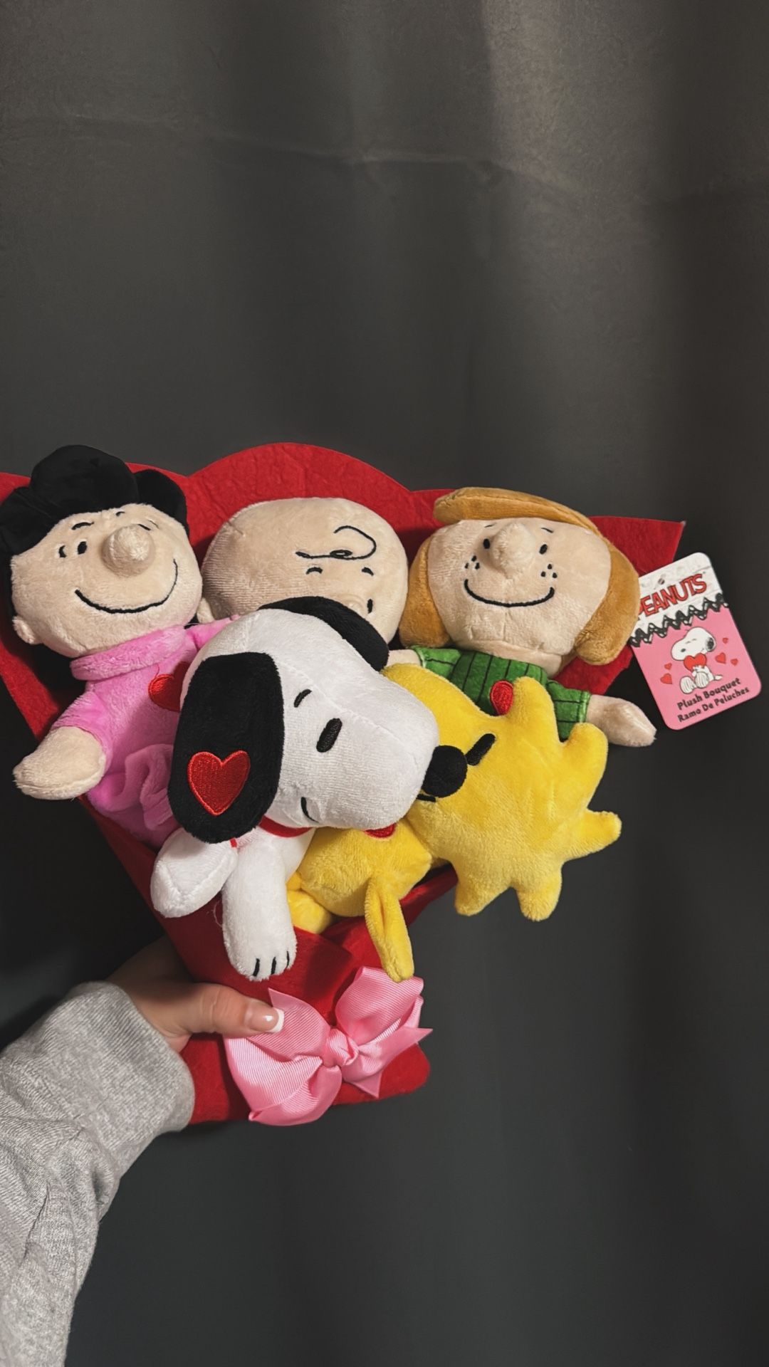 Snoopy And Friends Bouquet