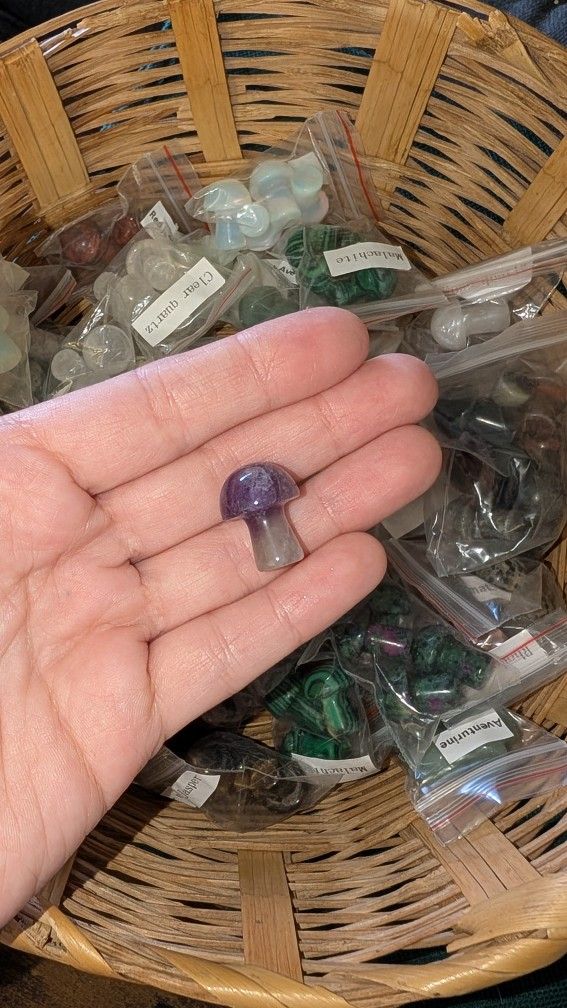Wholesale - 135 Crystal Mushrooms for $100 OBO