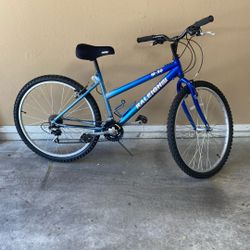 Mountain Bike—Raleigh (26”)
