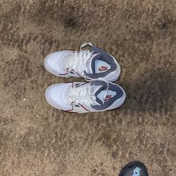 Jordon Flights 10.5