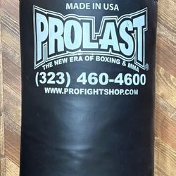 Punching Bag 