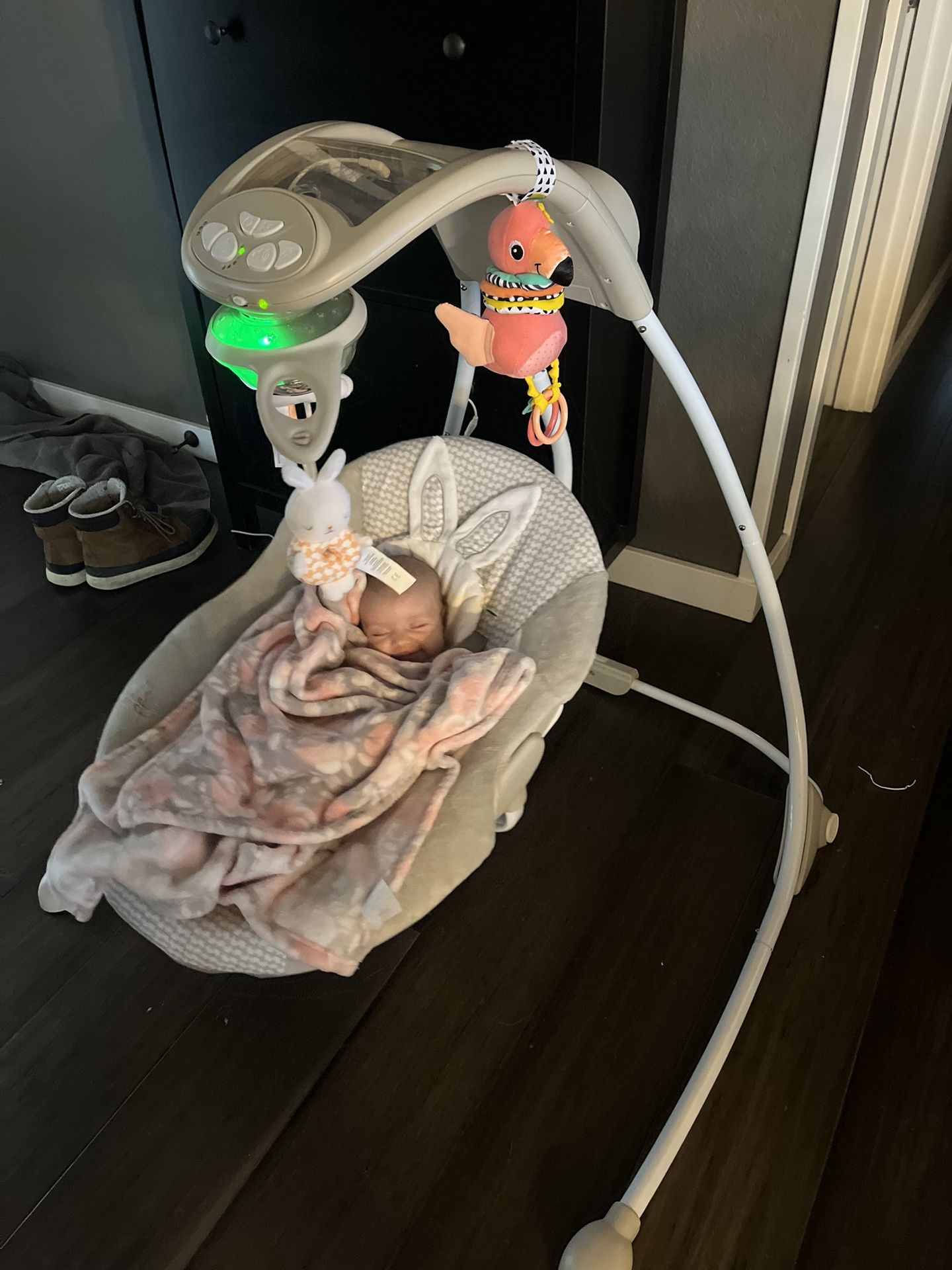 Baby Swing