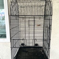 Bird Cage 