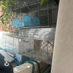 Two Large Rabbit Cages And Small Bird Cages