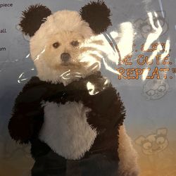 Dog Custom Panda Pooch