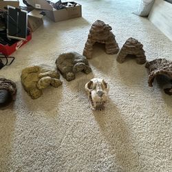 Reptile Supplies 