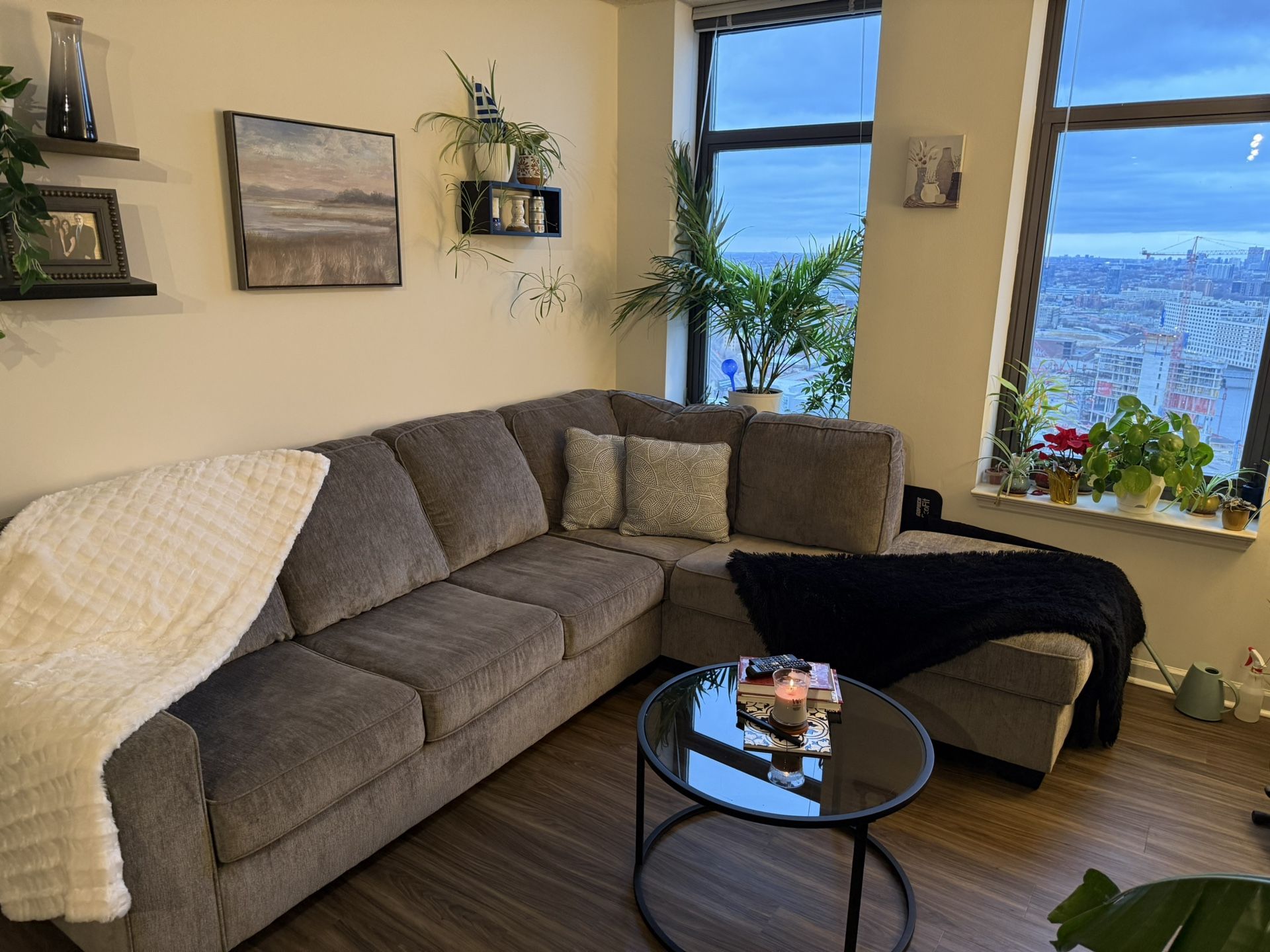 Sectional Gray Couch 