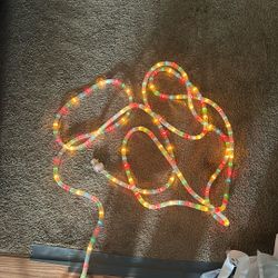 Outdoor Christmas Lights 