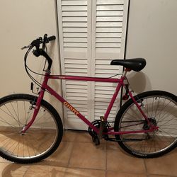 Giant Bike 