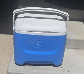 Igloo 30 qt. Cooler