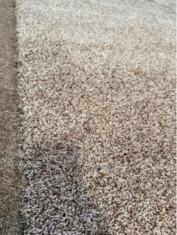 Carpet remnant