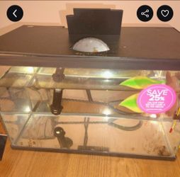 5 gallon tank