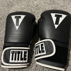 Boxing Gloves 