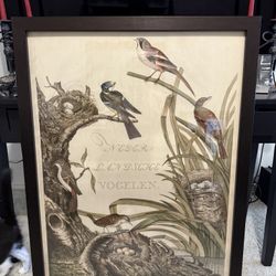 Framed Dutch Bird Art Print