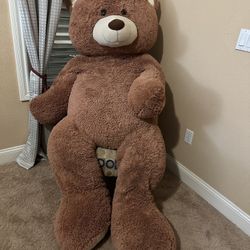 Huge Teddy Bear From Costco 