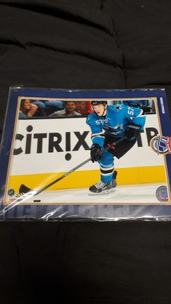 Tommy Wingel's 8x10 photo sharks