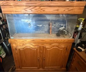 Fish Tank