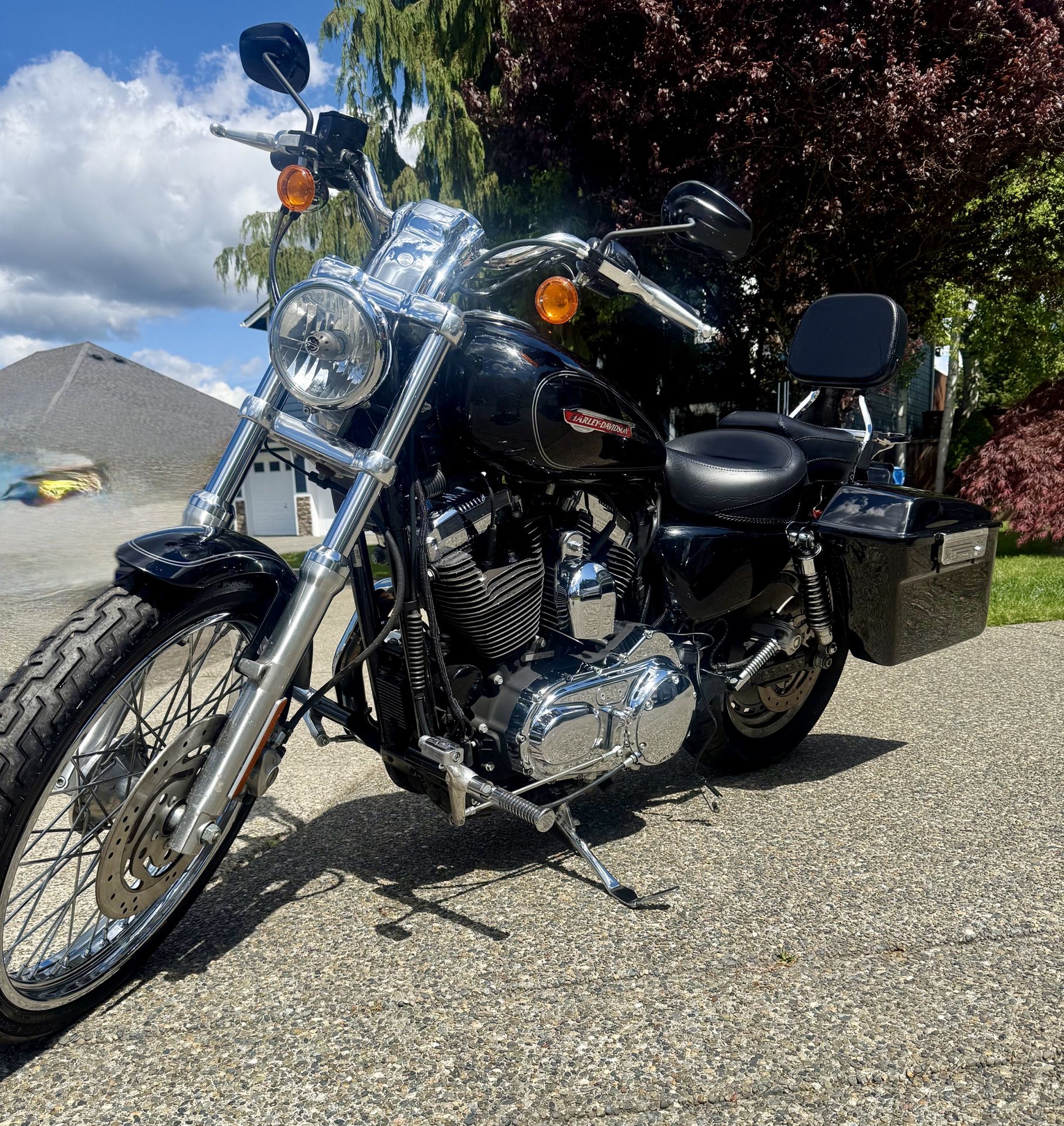 2008 Harley Davidson 1200XL Custom