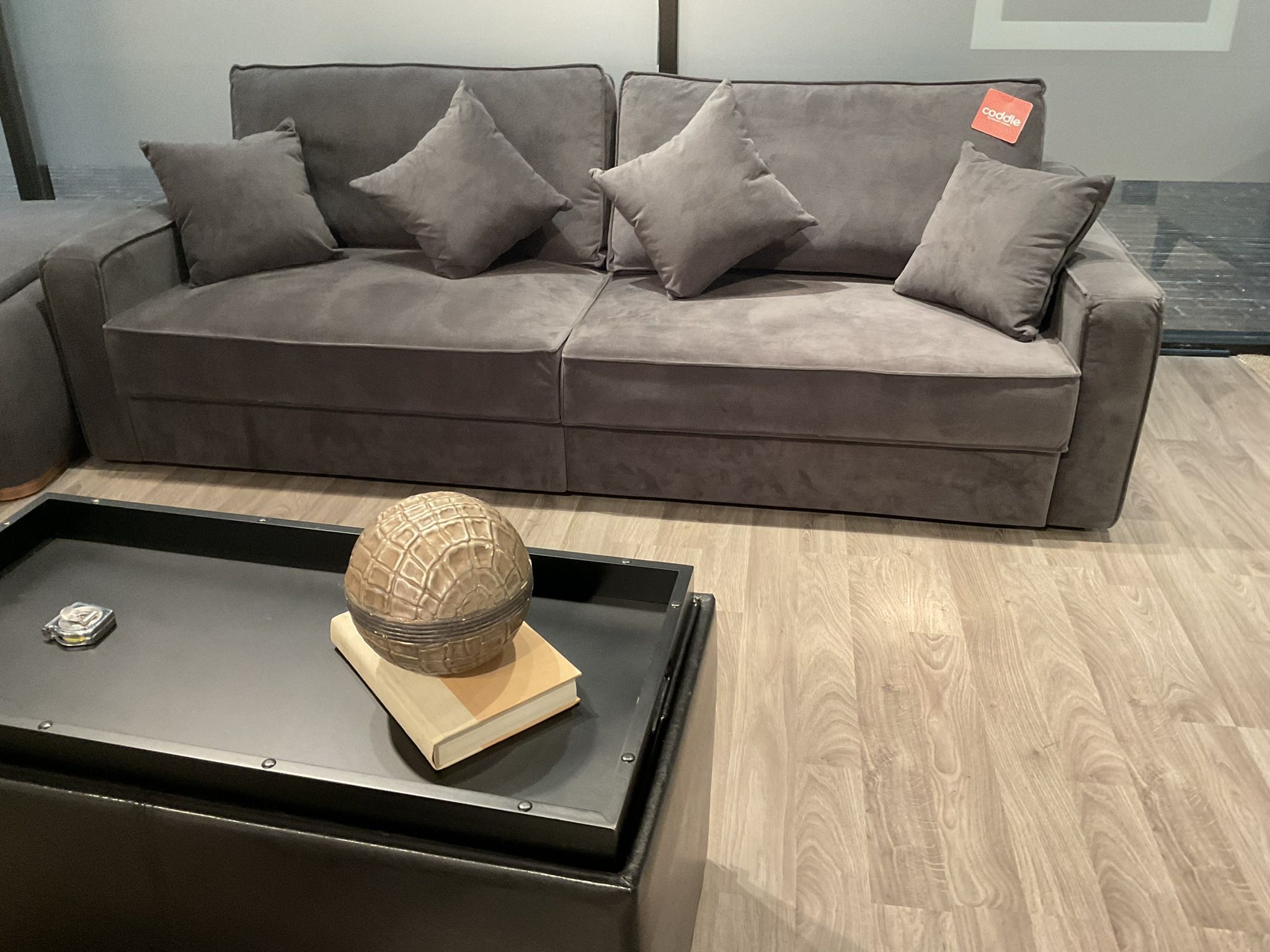 New Switch Sofa bed by Coddle. microfiber gray fabric.