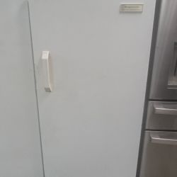 Frigidaire Commercial 20.5 Cu. Ft. Upright Freezer