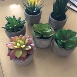 New Artificial Succulents 
