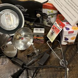 Reptile heat lamps/bulbs/pad