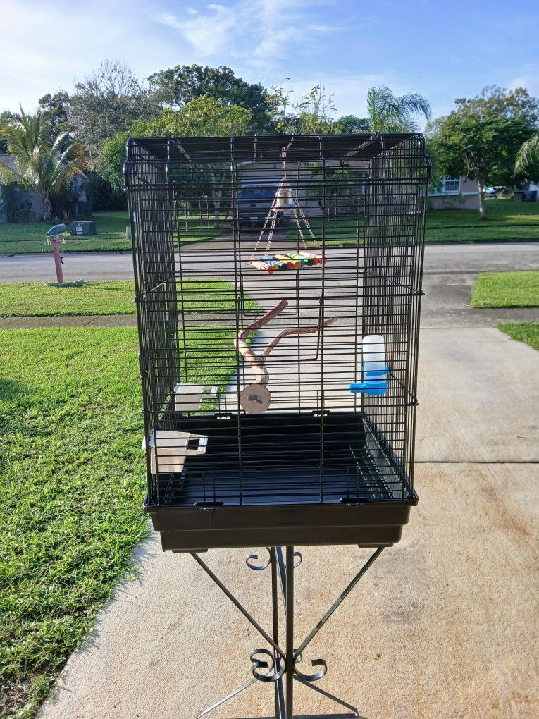 Cage Parrot And Conure