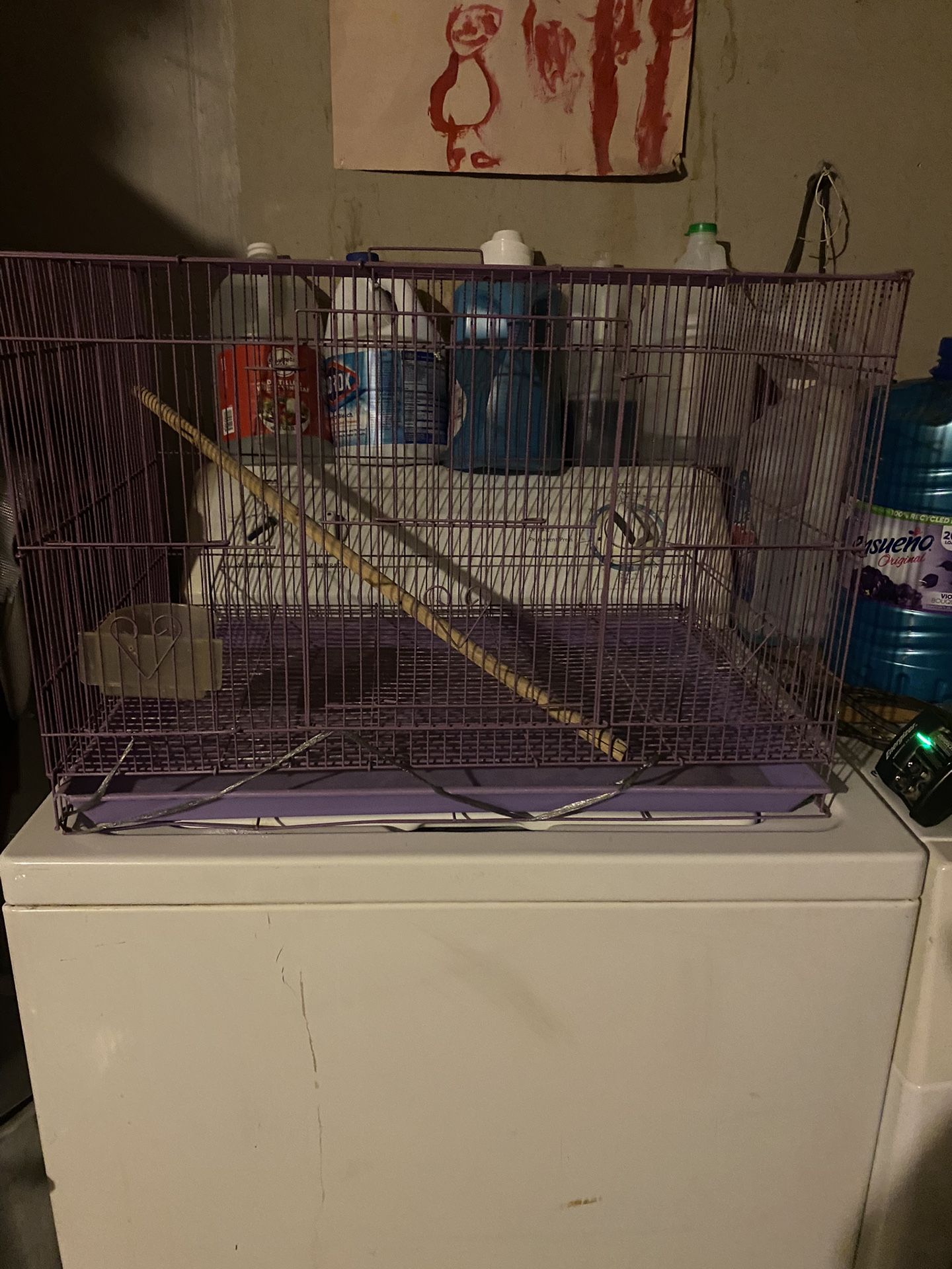 Bird Cage