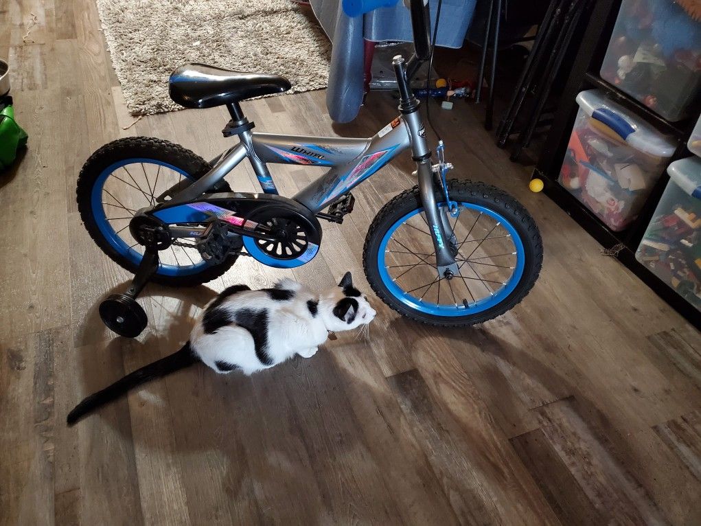 Huffy 16 Inch Whirl Bike: Blue
