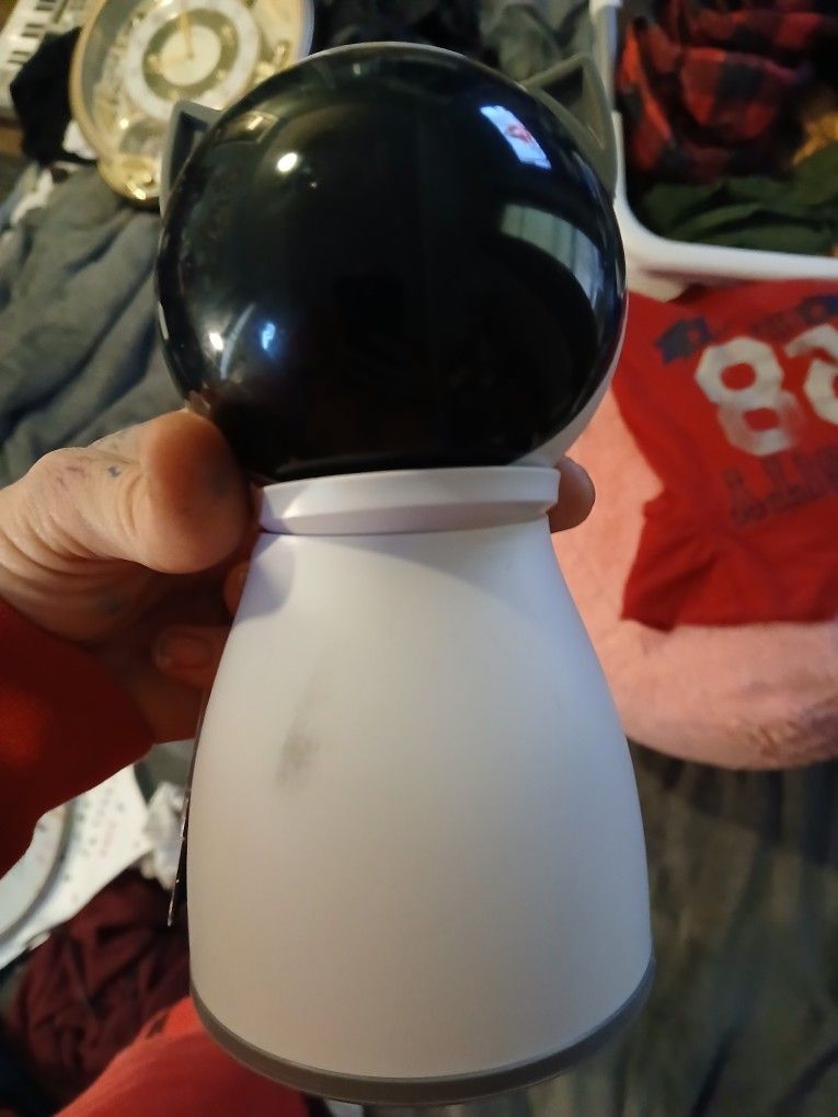 Cat Toy