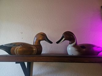Quack quack DUCKs