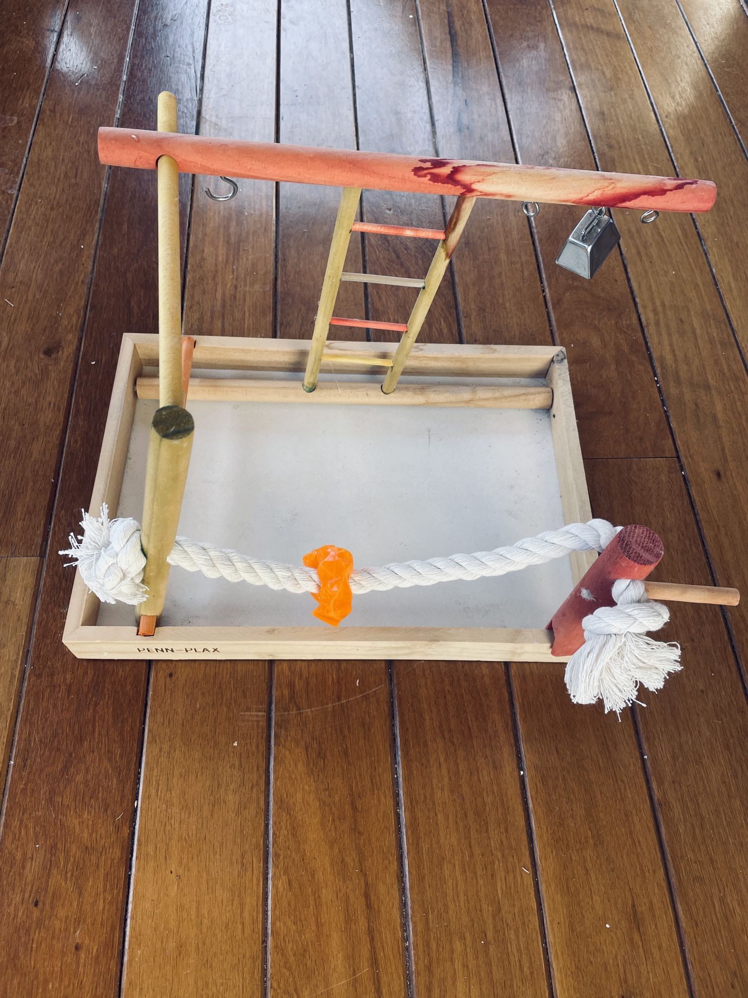 Bird Play Ground