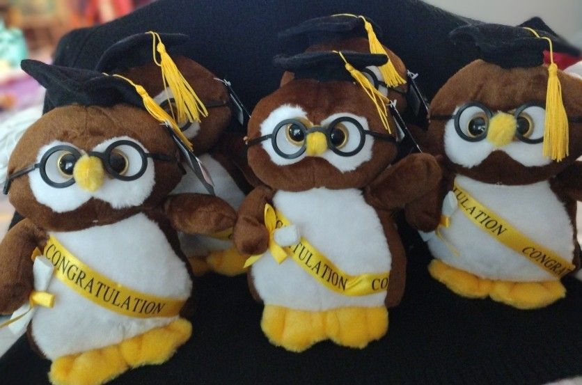 Graduation Owl Plushies 🎓