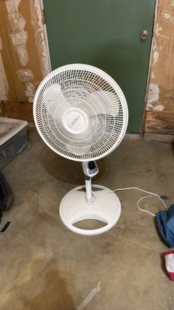 Fan