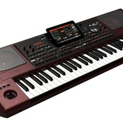 Korg Pa1000