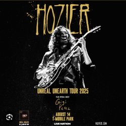 2 Tickets to Hozier