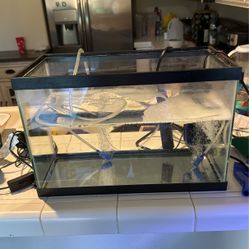 10 Gallon Fish Tank 