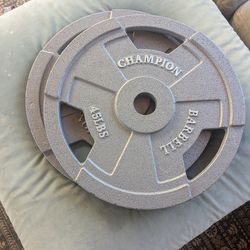 Pair of 45 lb Olympic Plates