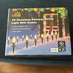 C9 Christmas Pathway Lights 30 Feet