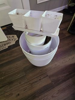 Plastic Pots, Mixed Sizes
