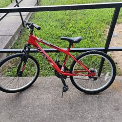 Puffy 24 Inch Cycle 