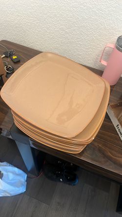10 Large Dinner Plates