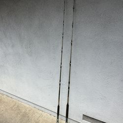 Daiwa Fishing Rods for Sale in Camarillo, CA - OfferUp